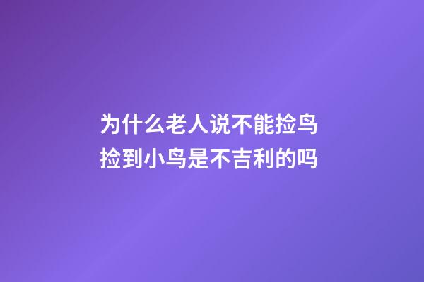 为什么老人说不能捡鸟 捡到小鸟是不吉利的吗